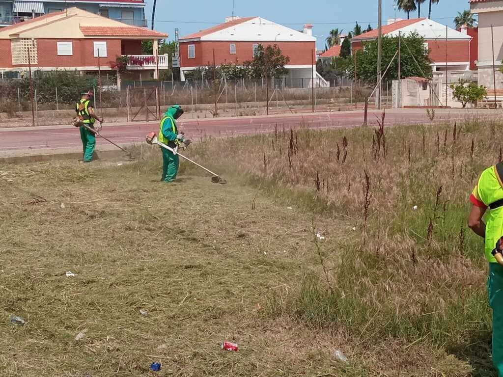 Desbroce-manual-castellon-agronsa