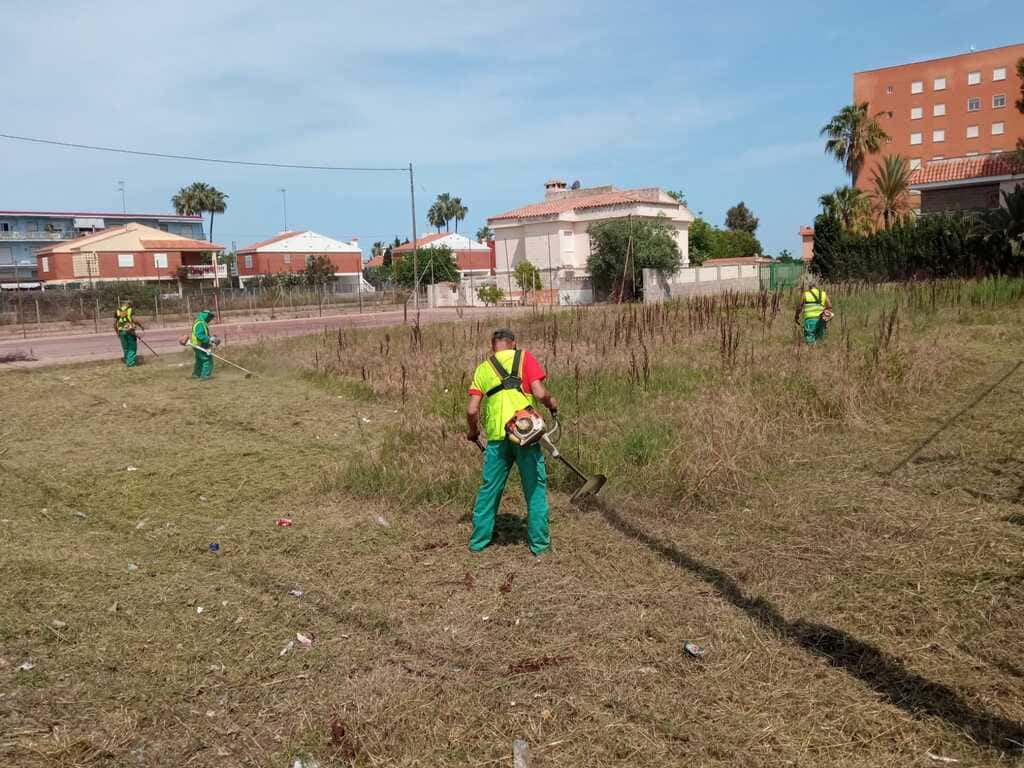 Desbroces-limpieza-terrenos-castellon-agronsa