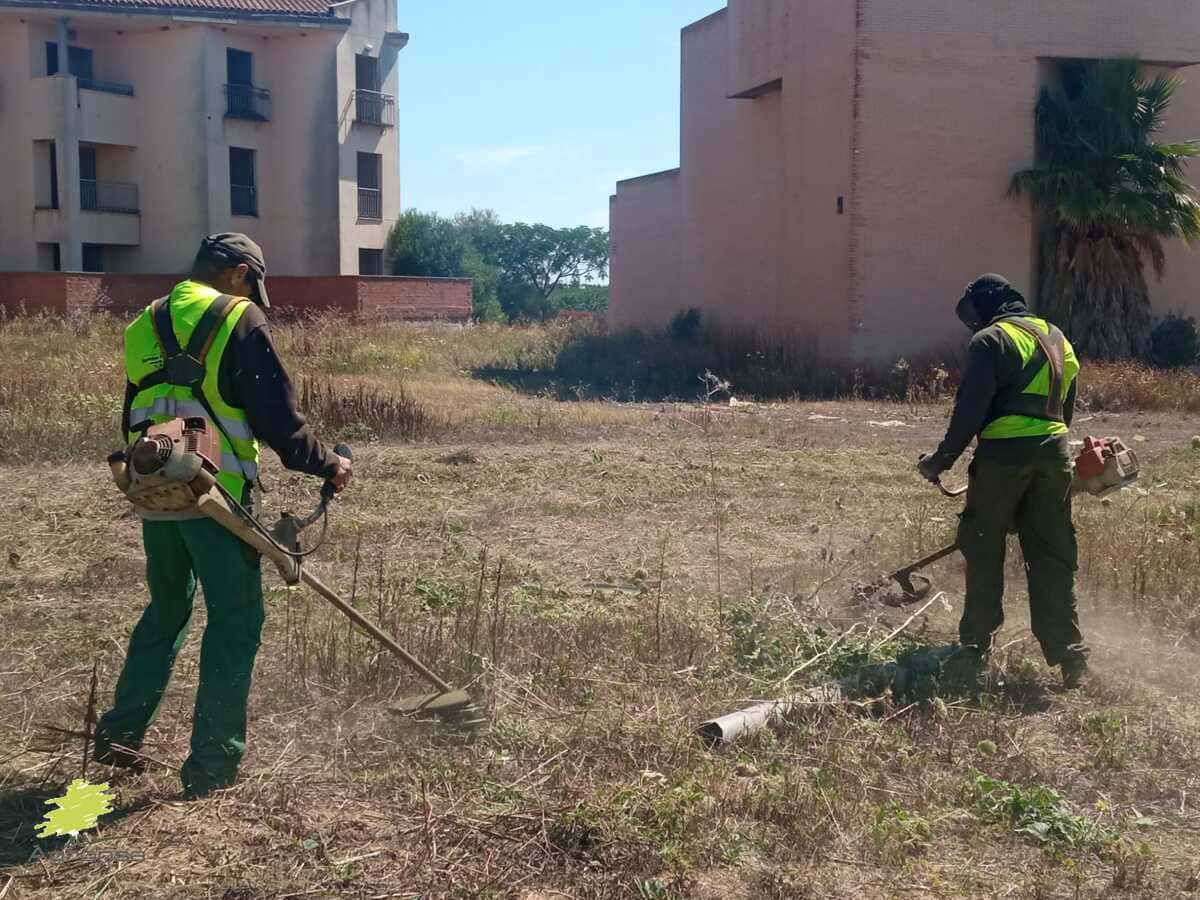 desboces-mostoles-agronsa-01