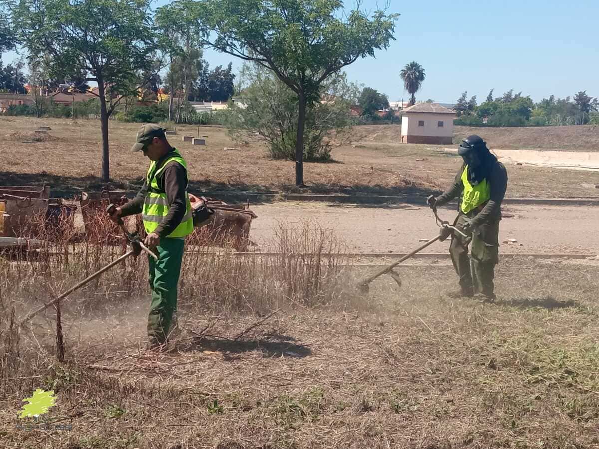 desboces-mostoles-agronsa-05