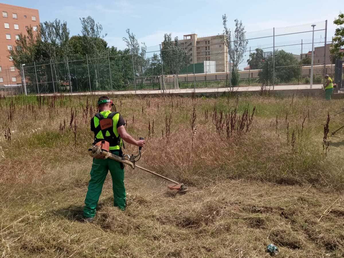 desbroce-limpieza-parcelas-parla