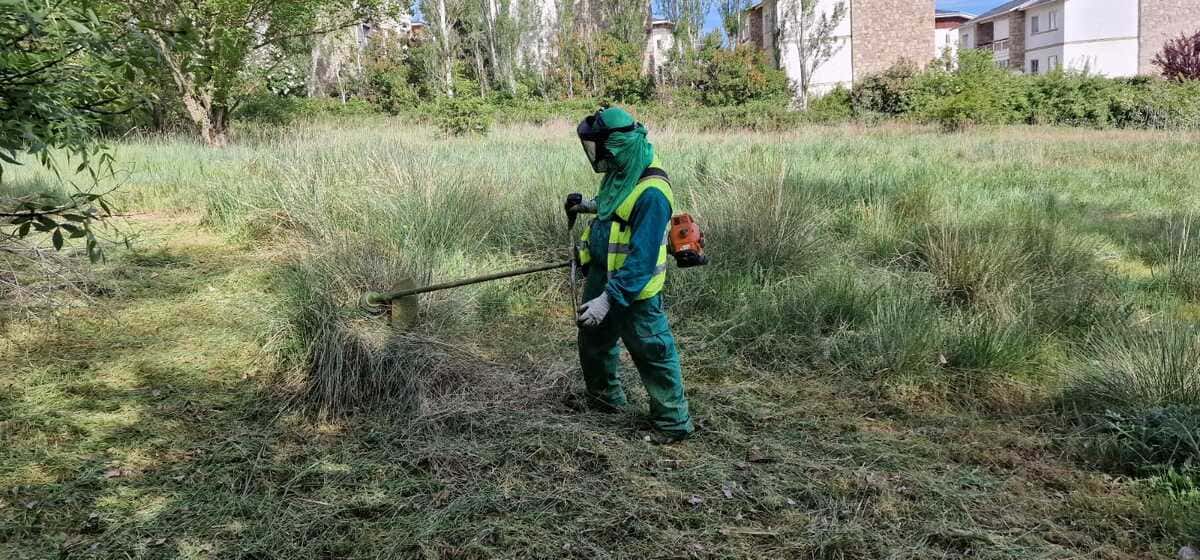 Desbroce Limpieza de terrenos en Huelva