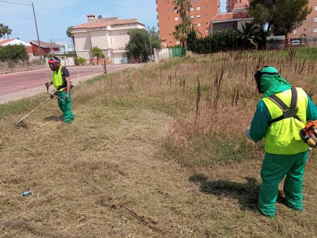 desbroces-castellon-agronsa