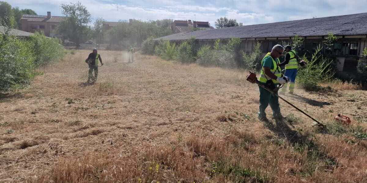 Desbroces y limpieza de terrenos en Ciudad Real - Agronsa