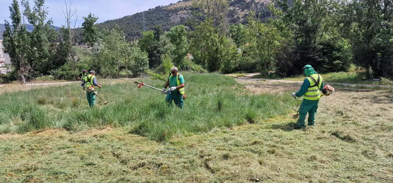 Desbroces y limpieza de terrenos en Cuenca - Agronsa