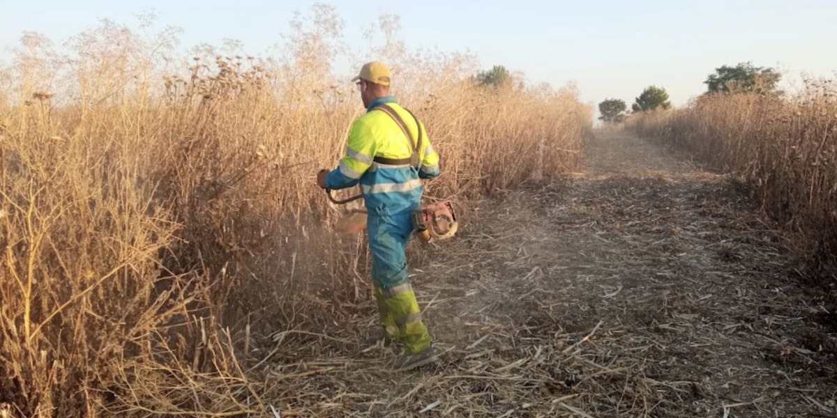 Desbroces y limpieza de terreno en Guadalajara - Agronsa