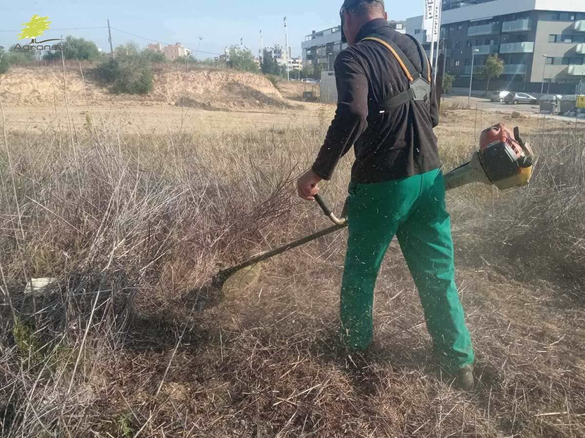 desbroces-las-rozas-madrid-agronsa-02