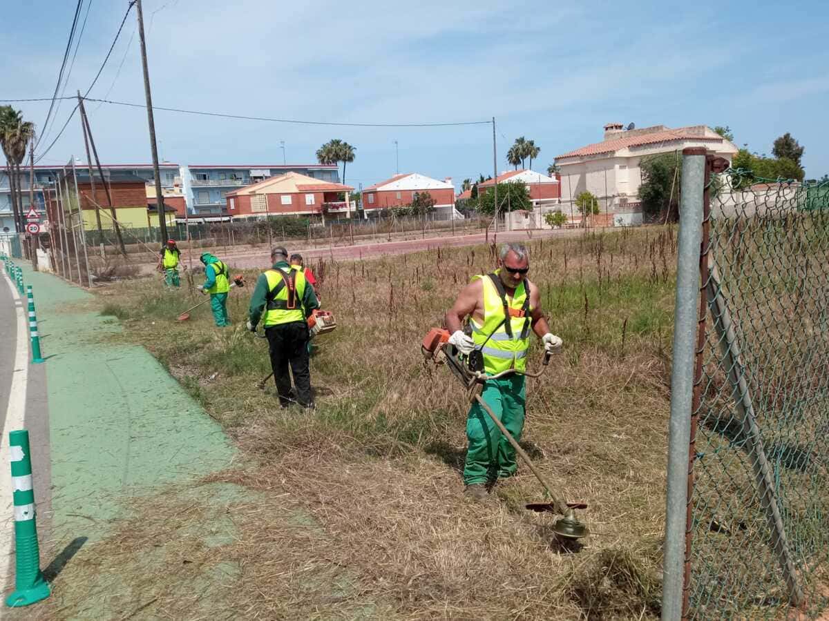 Desbroces en Torrelodones