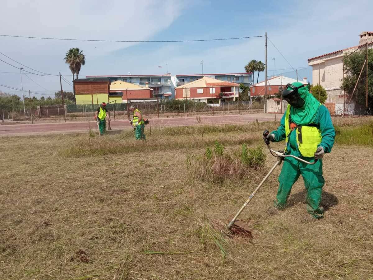Desbroces en Sevilla