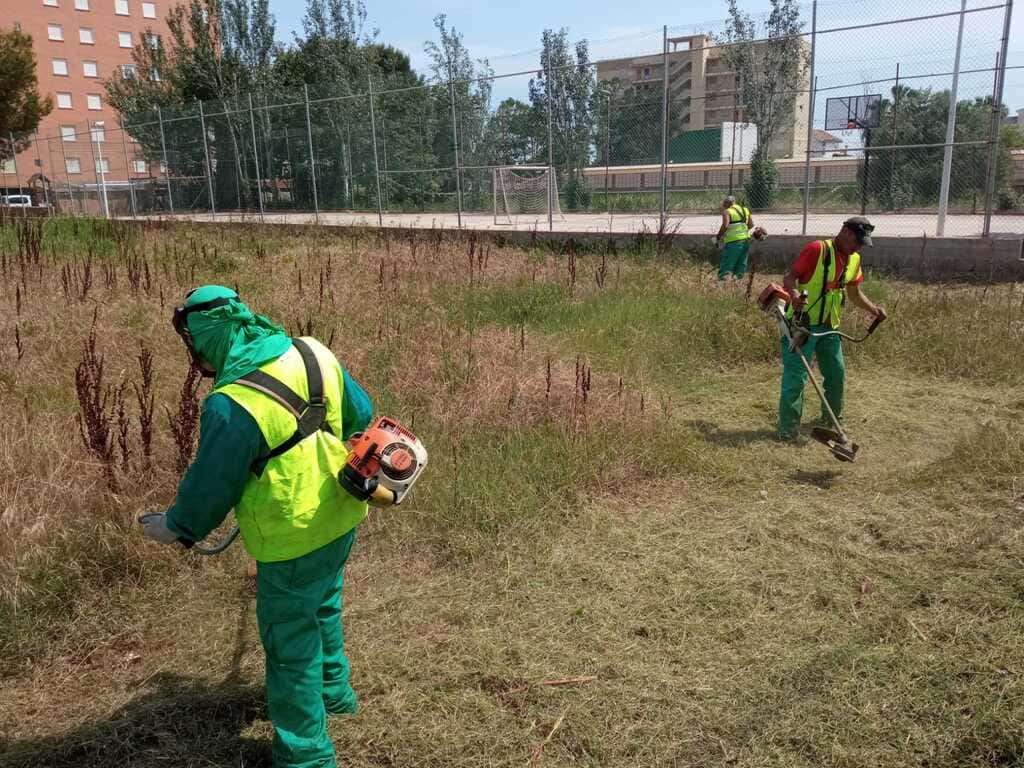 desbroces-limpiezas-terrenos