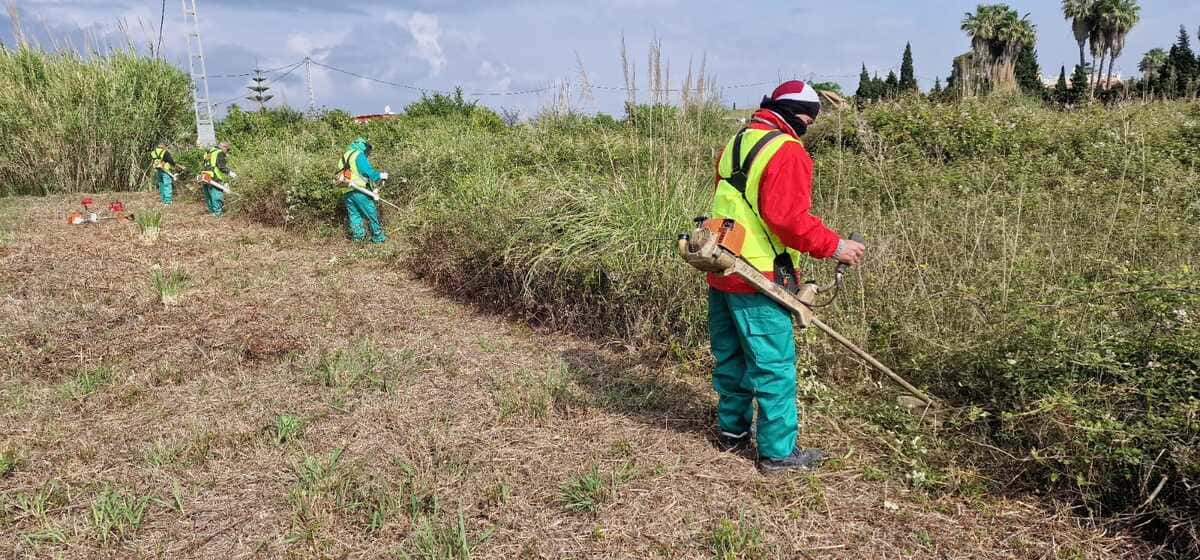 desbroces-manuales-san-sebastian-de-los-reyes
