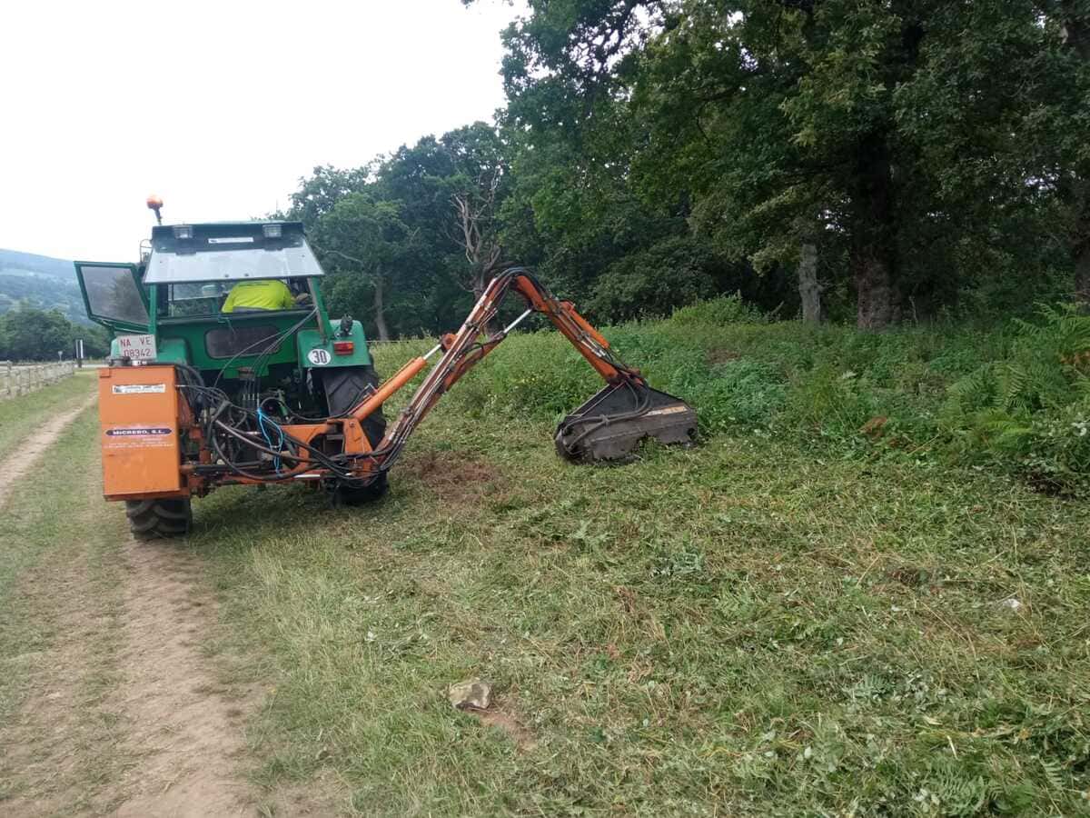 desbroces-mecanicos-torrejon de ardoz