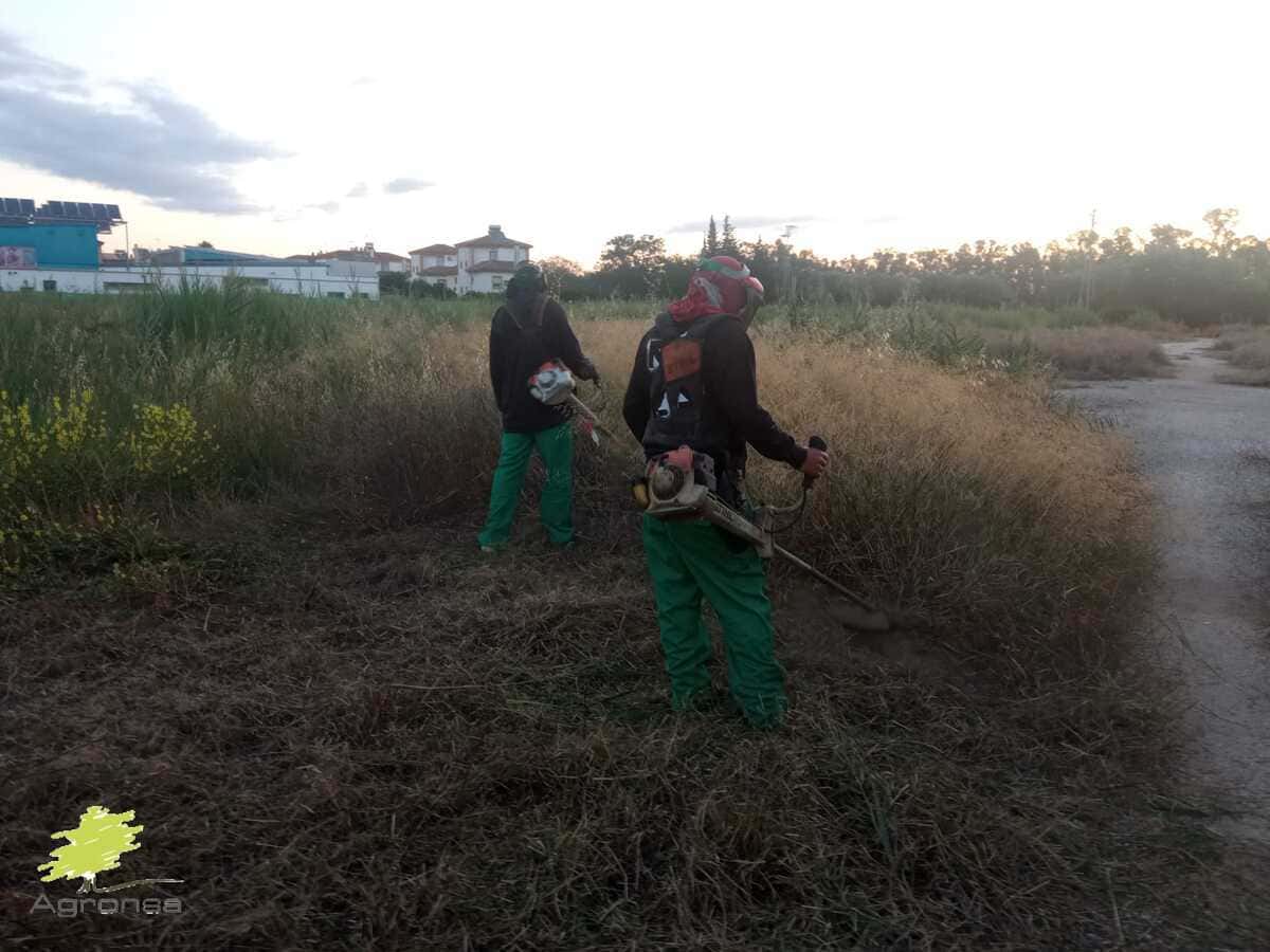 desbroces-mosotoles-02