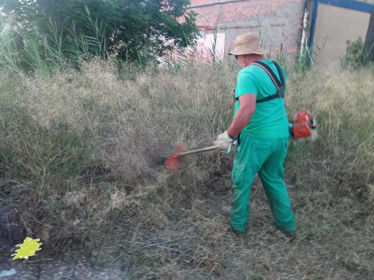 desbroces-mosotoles-04