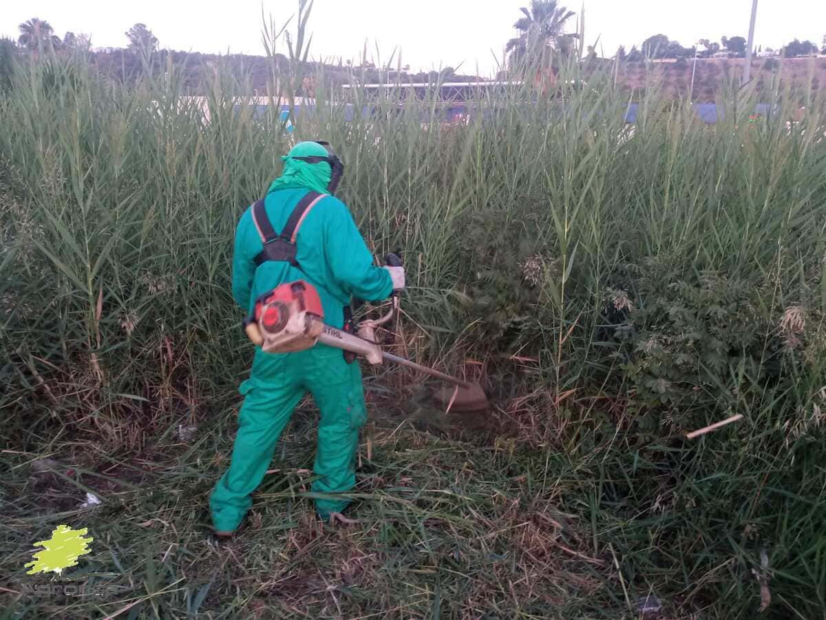 Desbroces de fincas en Córdoba