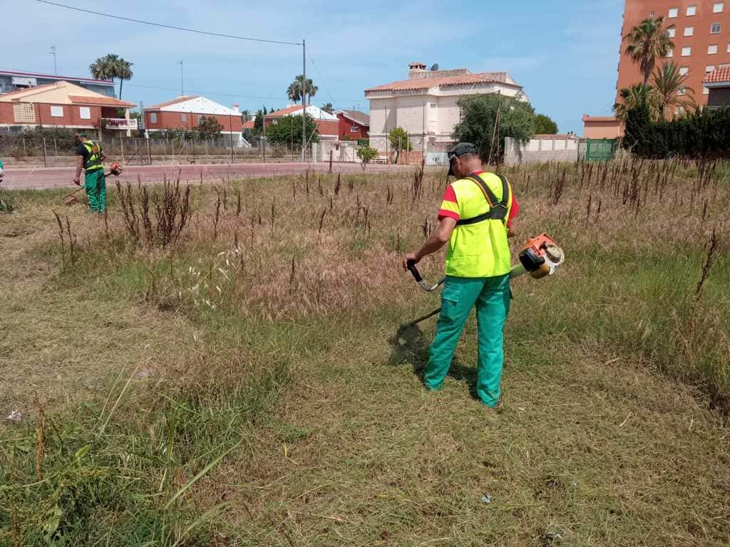 Desbroces y limpieza de terreno en Castellón - Agronsa