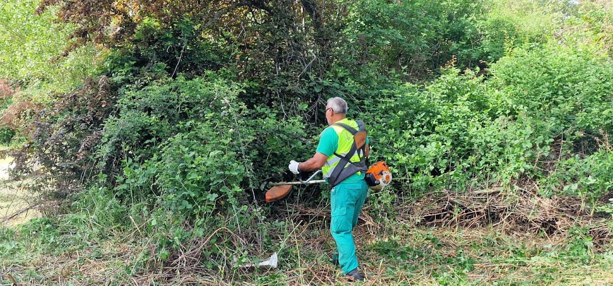 Desbroces y limpieza de terreno en Segovia - Agronsa
