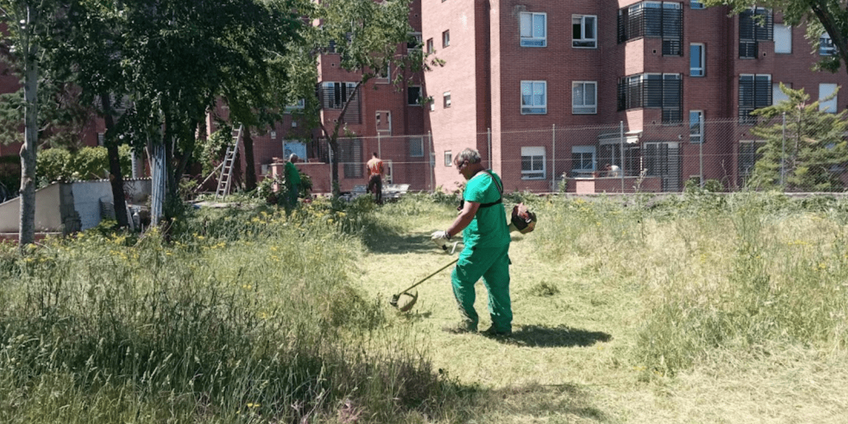Desbroces y limpieza de terreno en Valladolid - Agronsa