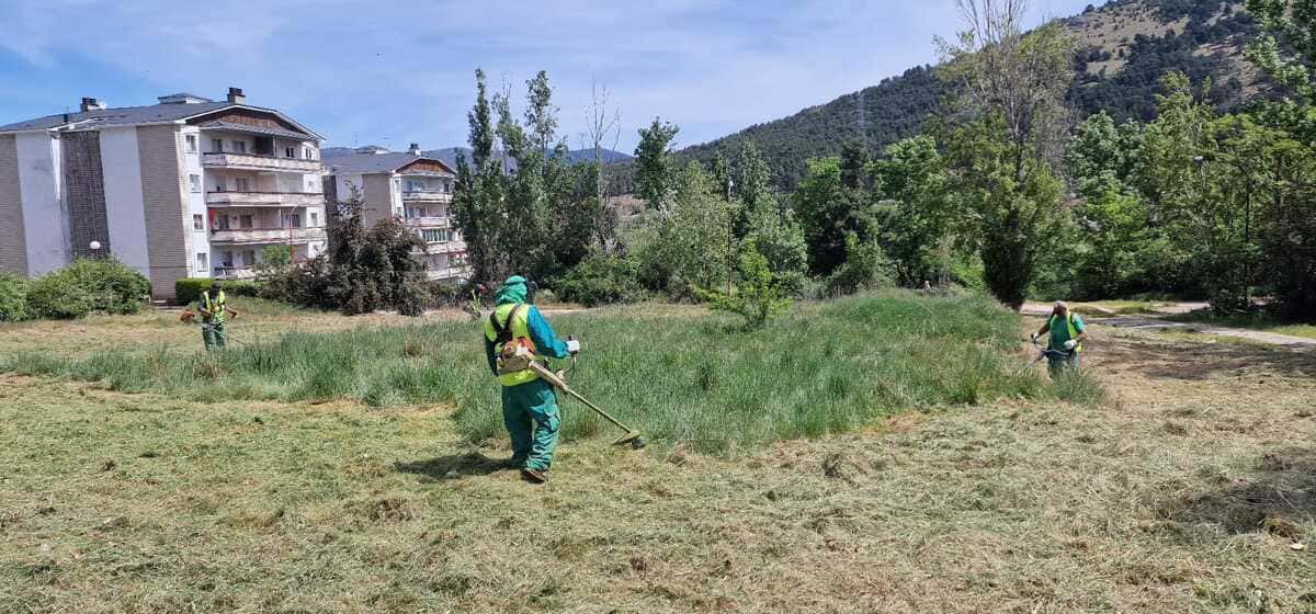 desbroces y limpieza de terrenos