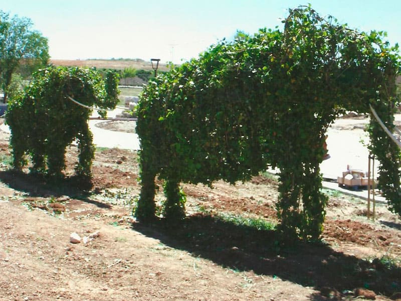 diseno-de-jardines-04