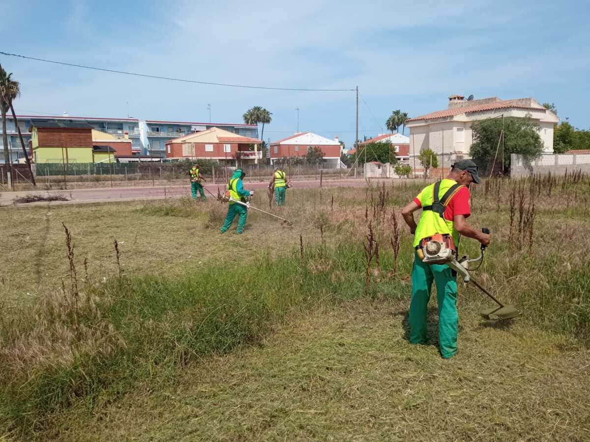 limpieza-de-terreno-torrejon-de-ardoz