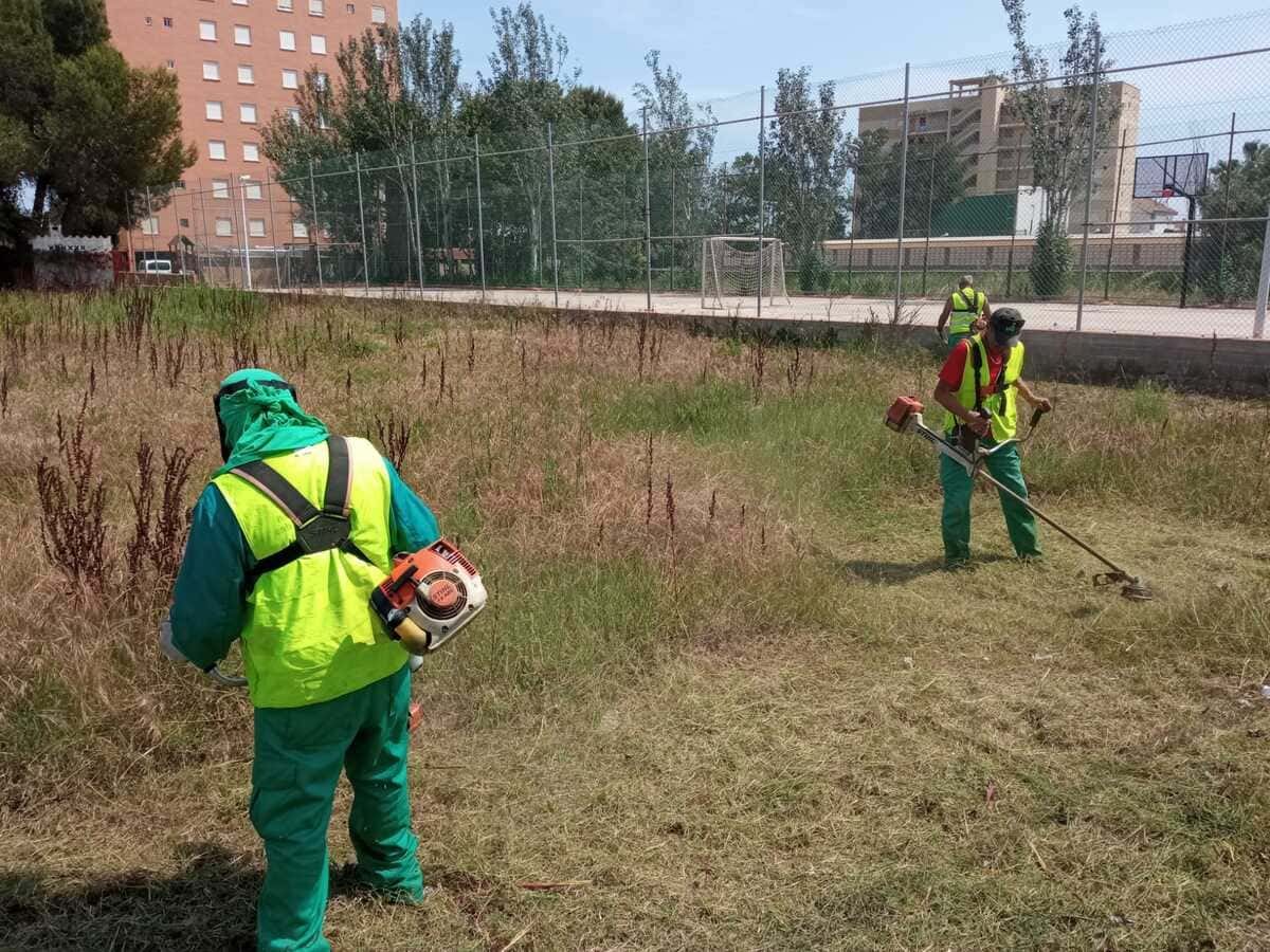 limpieza-parcela-torrelodones