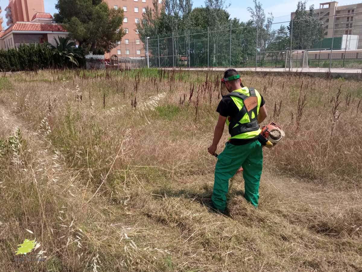 limpieza-parcelas-alcobendas