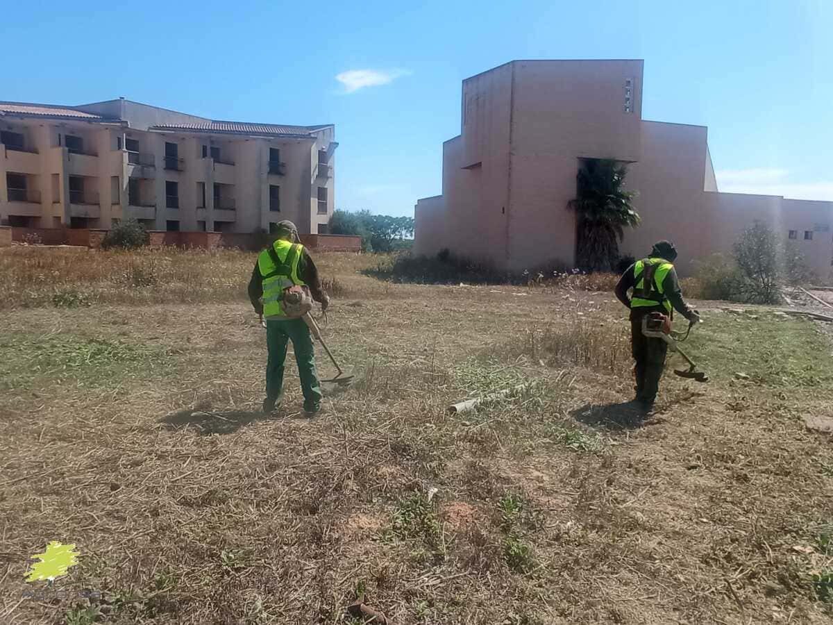 limpieza-terrenos-mostoles-agronsa