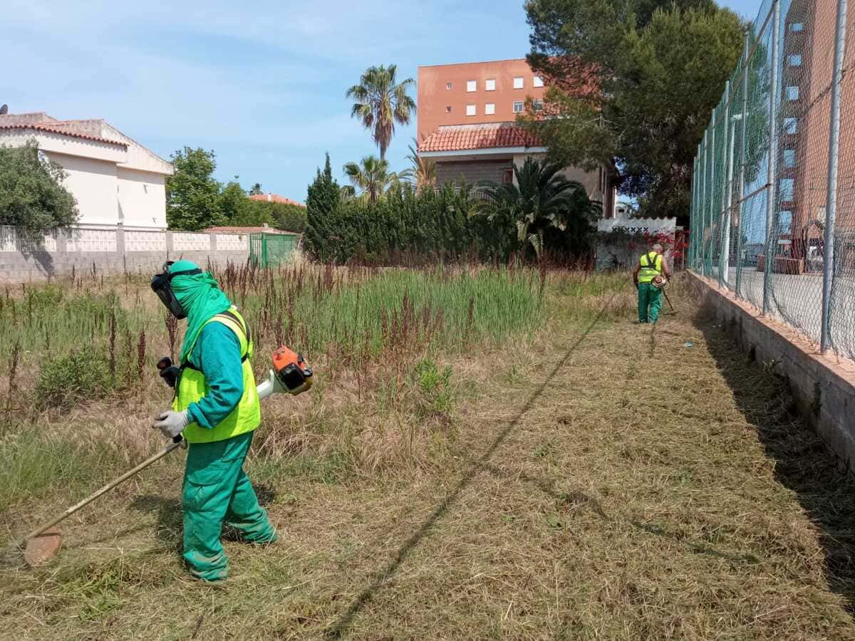 limpieza-terrenos-parla