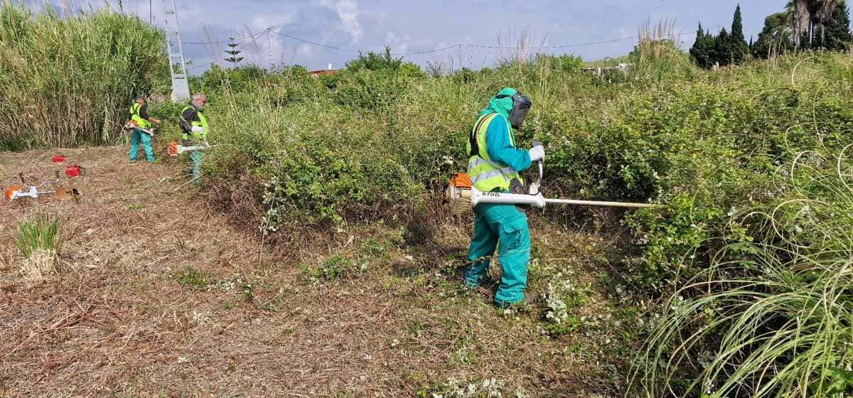 limpieza-terrenos-sanse