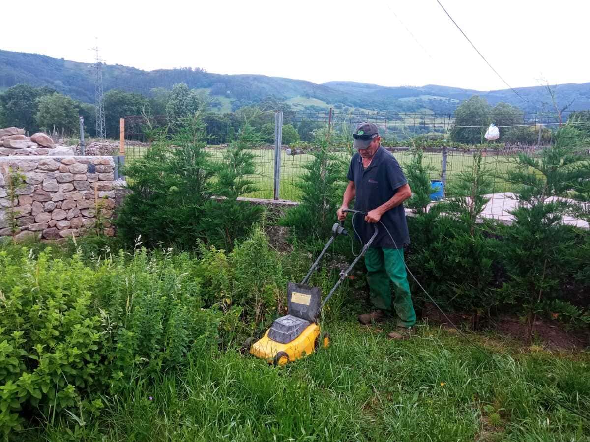 mantenimiento-jardines