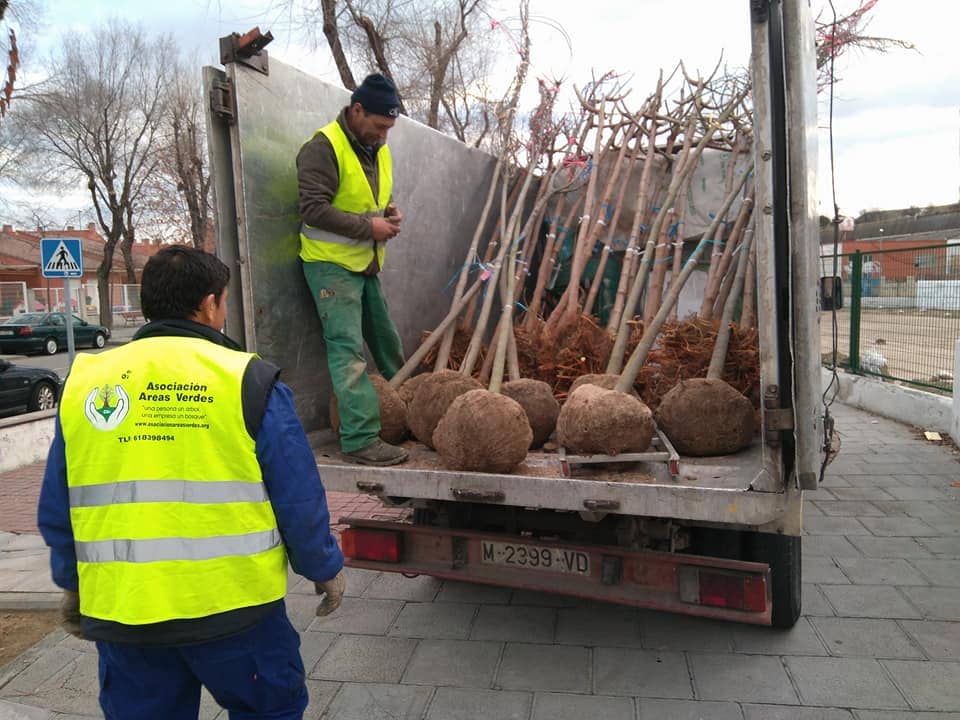 valdemoro4